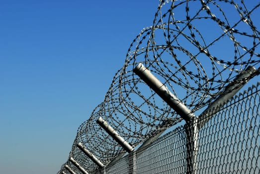 Barbed wire fence