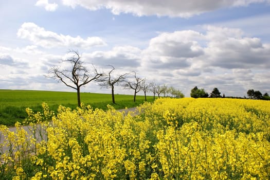 In the field
