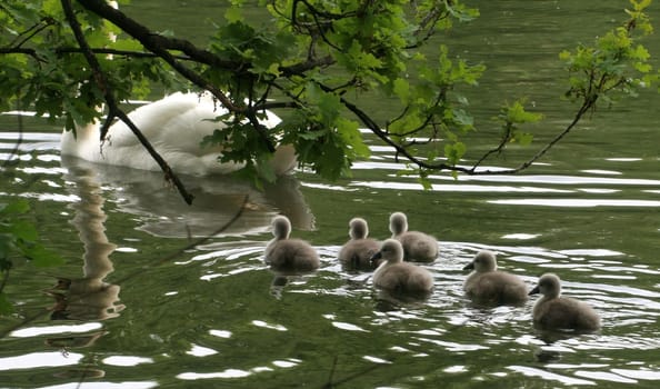 ... fleeing from my camera...