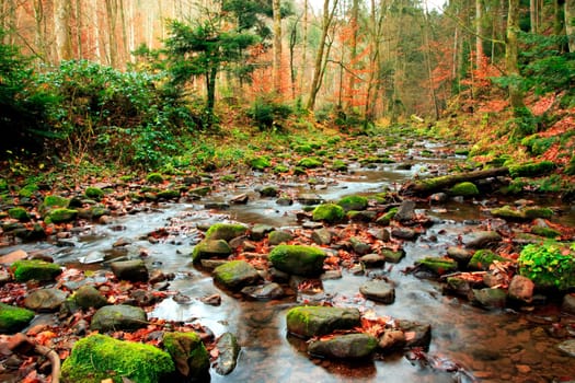 Black Forest Germany