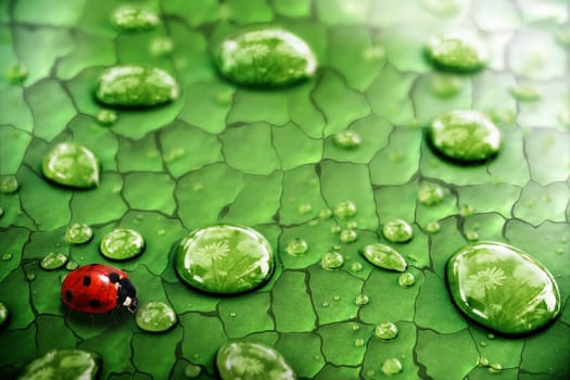According to the suggestion of "DagmarSchumach"" now also with reflection in the drops"