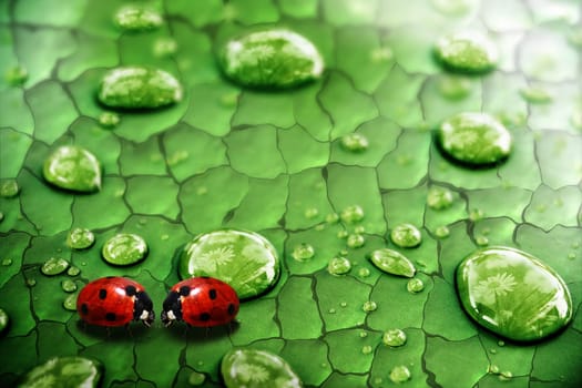 According to the suggestion of "DagmarSchumach"" now also with reflection in the drops"