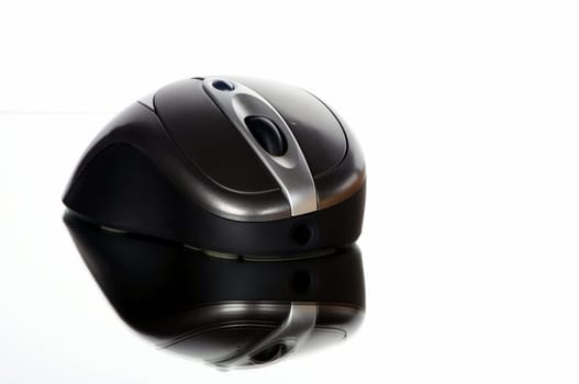 Wireless mouse cropped against a white background with reflection