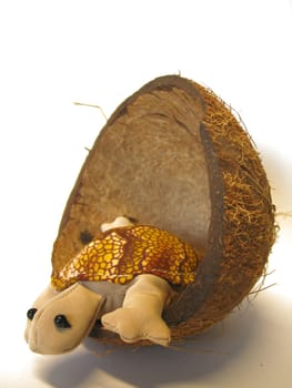 Turtle decoration