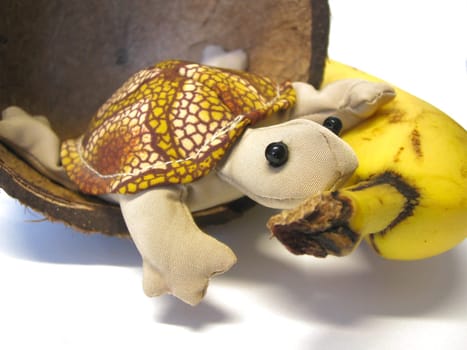 It's all banana