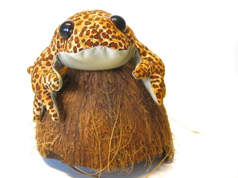 Frog on nut