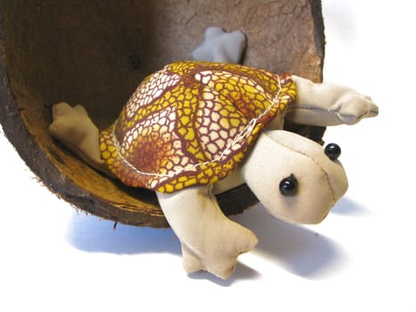 Mini Turtle