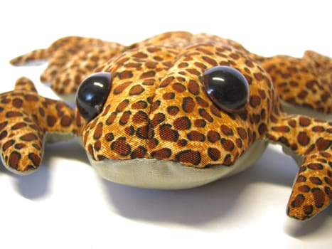 Beanie Frog