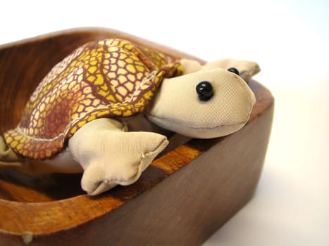 Turtle