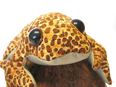 Frog eyes