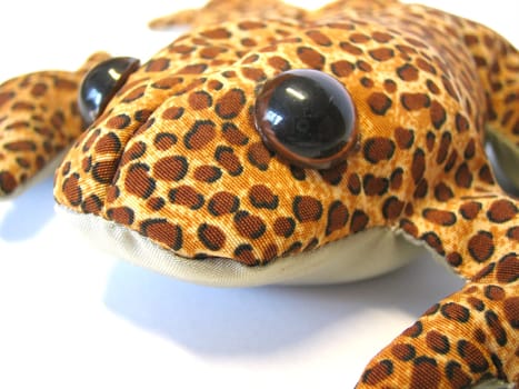 funny frog