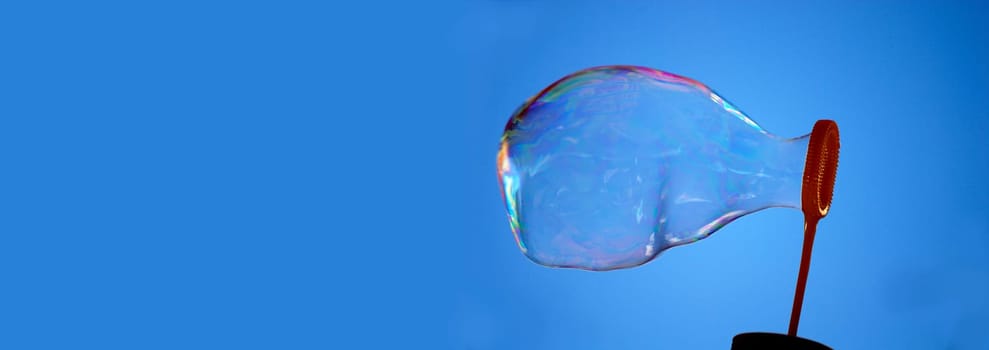 Soap bubble panorama