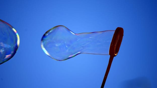 Bubbles