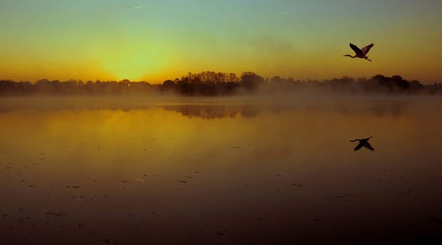 at a quarry pond in Bresse in France