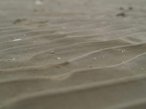Wadden Sea