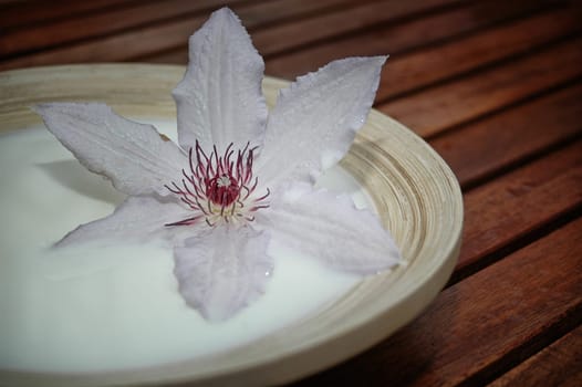 Flower milk