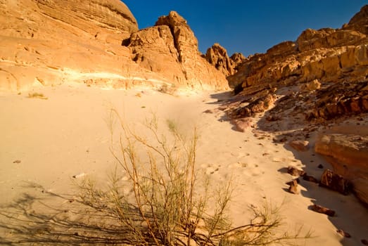 On the way to the White Canyon
