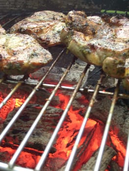 Grilling 07