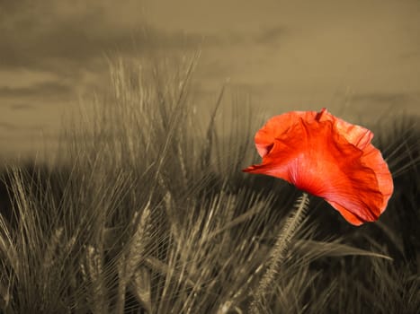 red