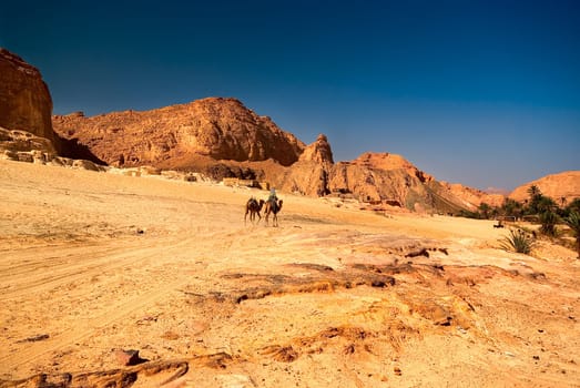 ... finally,after three hours of walking in the heat,the oasis was in sight. I had a camel,see the middle of the picture,but couldn't use it because of a thigh cramp... So it ran empty in front....