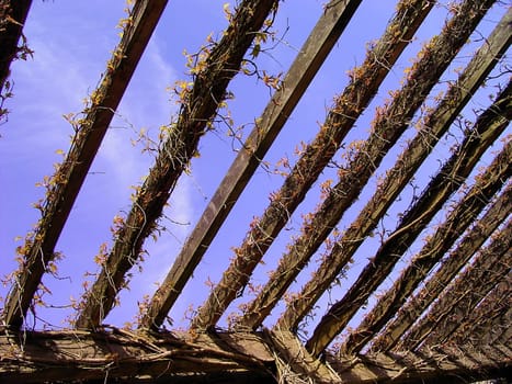 Pergola