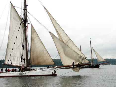 Sailors