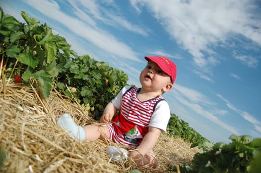 Strawberry field