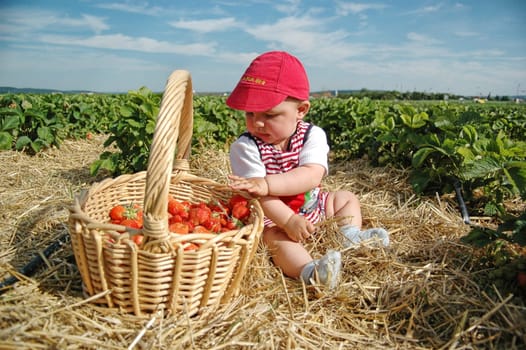 Baby and strawberries