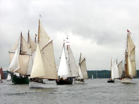 Rum Regatta