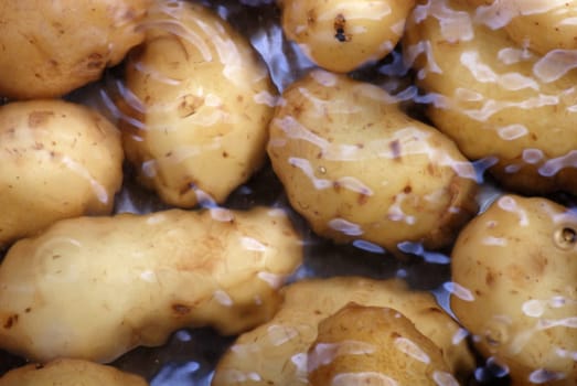 Cooking potatoes in a pot