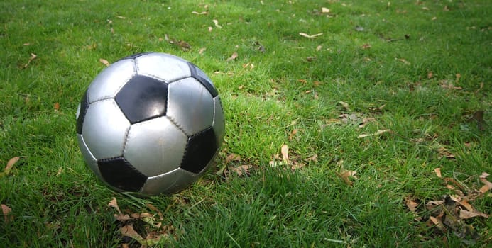 Silver Soccer
