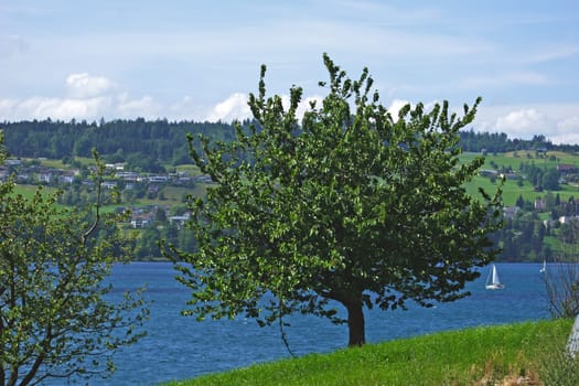 at Lake Lucerne