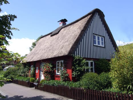 Thatched roof house