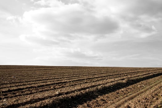 Arable land