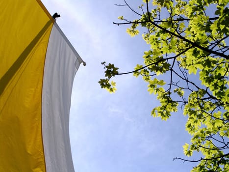 Vatican flag