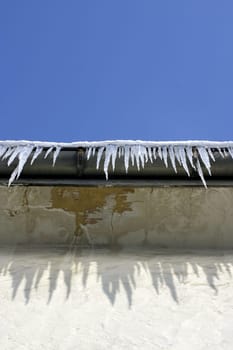 Icicle