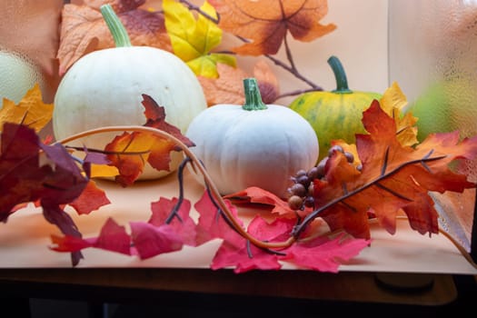 Festive autumn halloween fall harvest background pumpkin's and squash. High quality photo