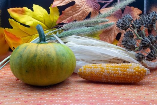 Fall background Green pumpkin with corn and leaves . High quality photo