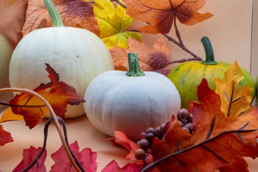 Festive autumn halloween fall harvest background pumpkin's and squash. High quality photo