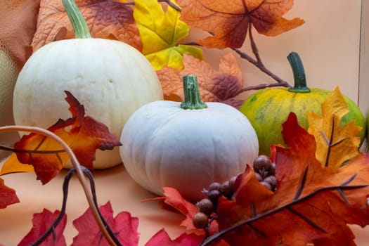 Festive autumn halloween fall harvest background pumpkin's and squash. High quality photo