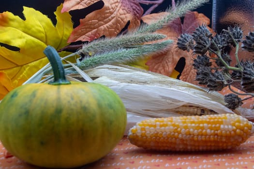Fall background Green pumpkin with corn and leaves . High quality photo