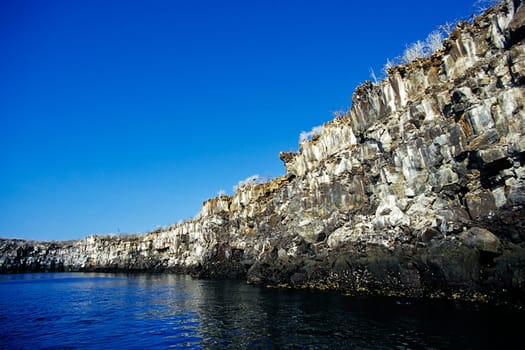 Galápagos,Genovesa