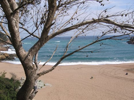 Bay