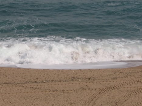 Surf
