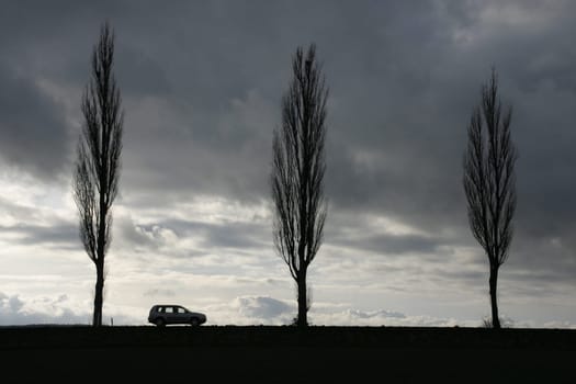 Car and avenue