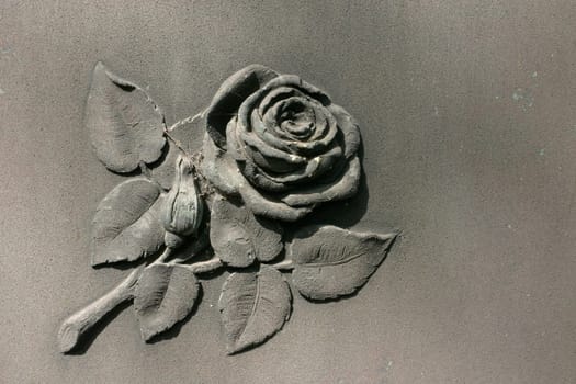 Rose on stone