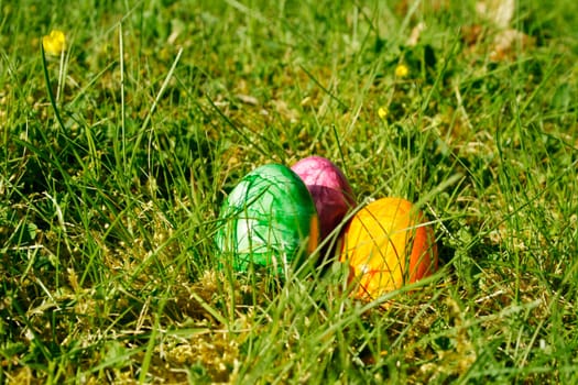 Easter eggs in the grass