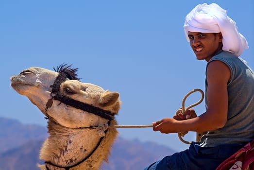 Suleimann the Bedouin has the camel under control,he has easily done a few laps to show that the Bedouins can gallop quite fast with these mounts.... I was amazed,I thought the camels were pretty lame beasts.