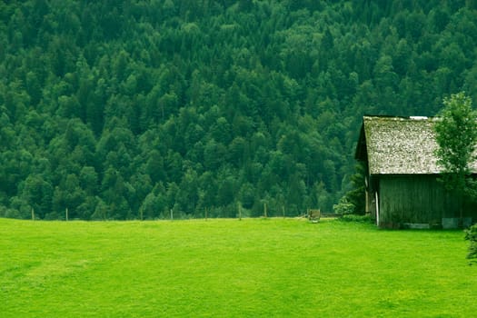 Cabin in the Alps in the Bregenz Forest
