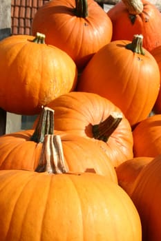 Gourds